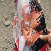 山东省滨州市邹平市长期出售虾盒白卡，纯木桨，带微膜，每个月二十五吨左右